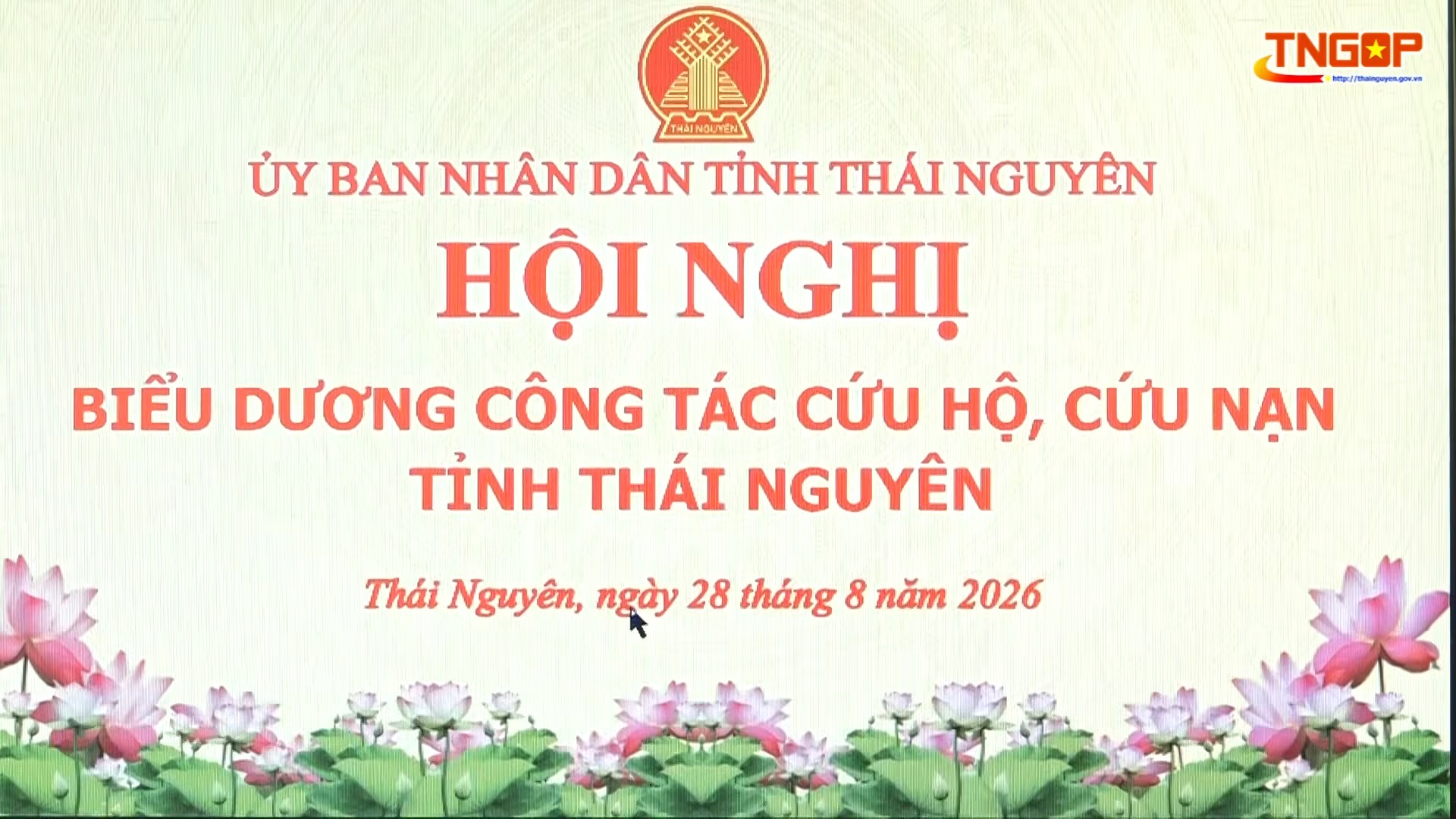 Chủ tịch UBND tỉnh khen thưởng đột xuất các tập thể, cá nhân tiêu biểu trong công tác cứu hộ, cứu nạn