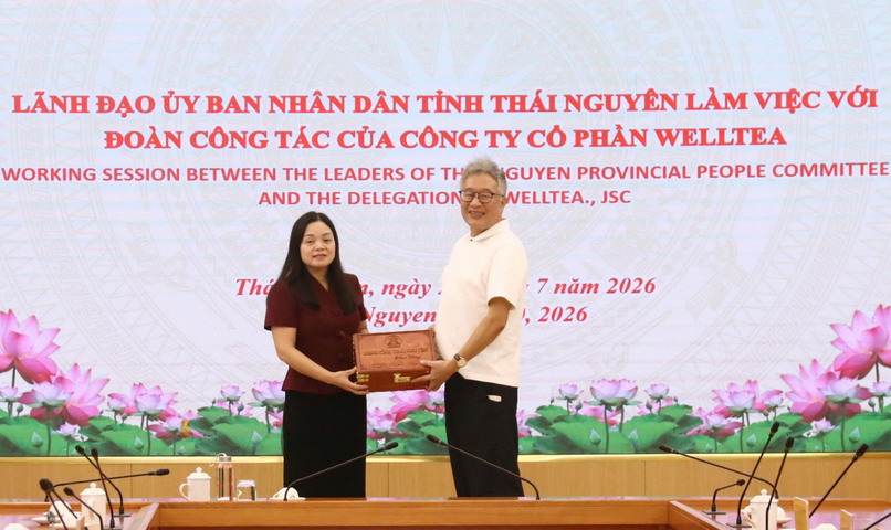  WellTea mong muốn hợp tác xây dựng nhà máy chế biến chè tại Thái Nguyên