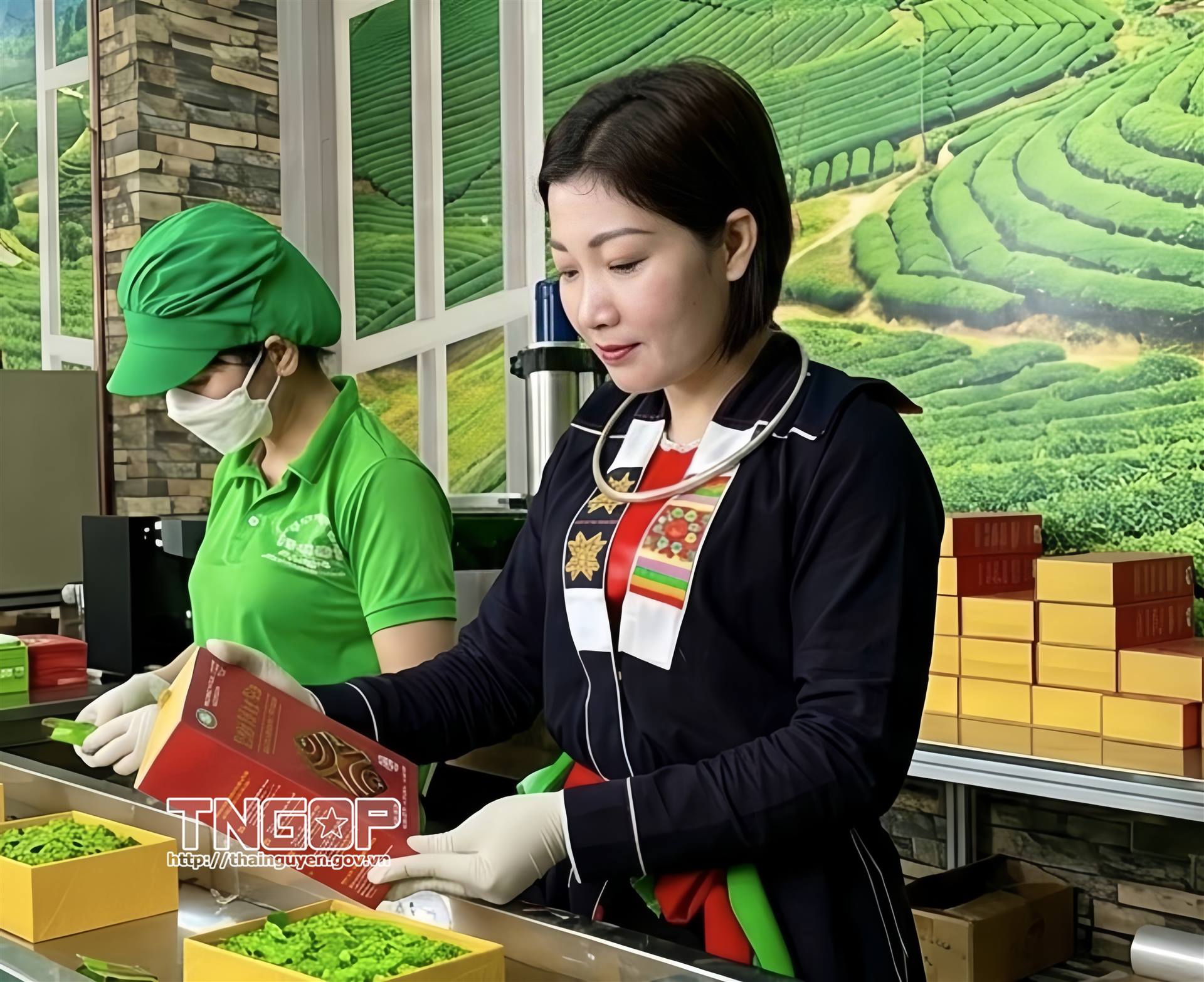 “Ngôi sao hợp tác xã” -  Động lực nâng tầm kinh tế tập thể Thái Nguyên