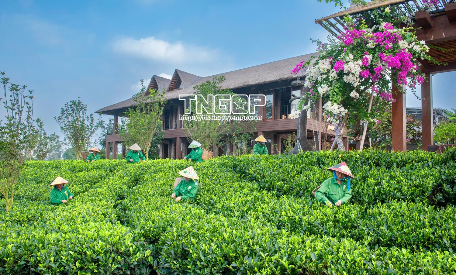 Thái Nguyên triển khai thực hiện Nghị quyết của Chính phủ về phát triển văn hóa Việt Nam