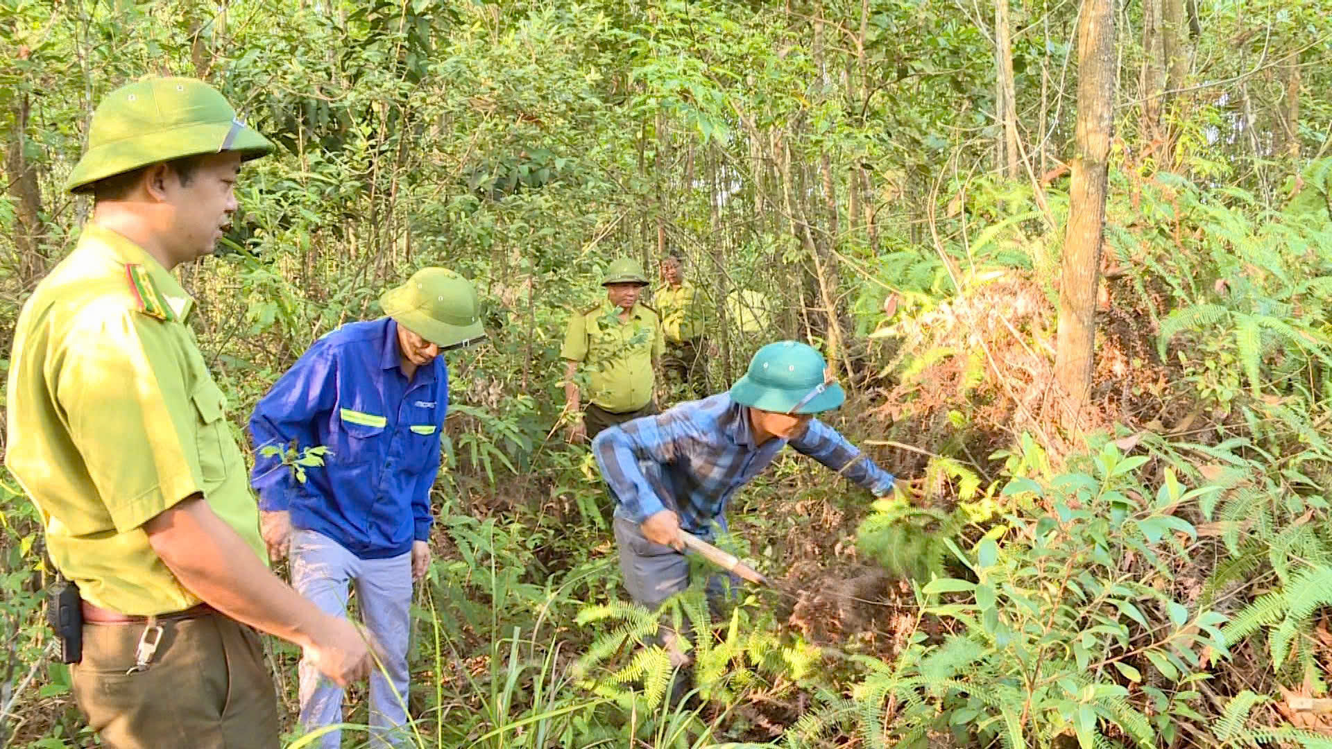 Chủ động tăng cường phòng cháy, chữa cháy rừng