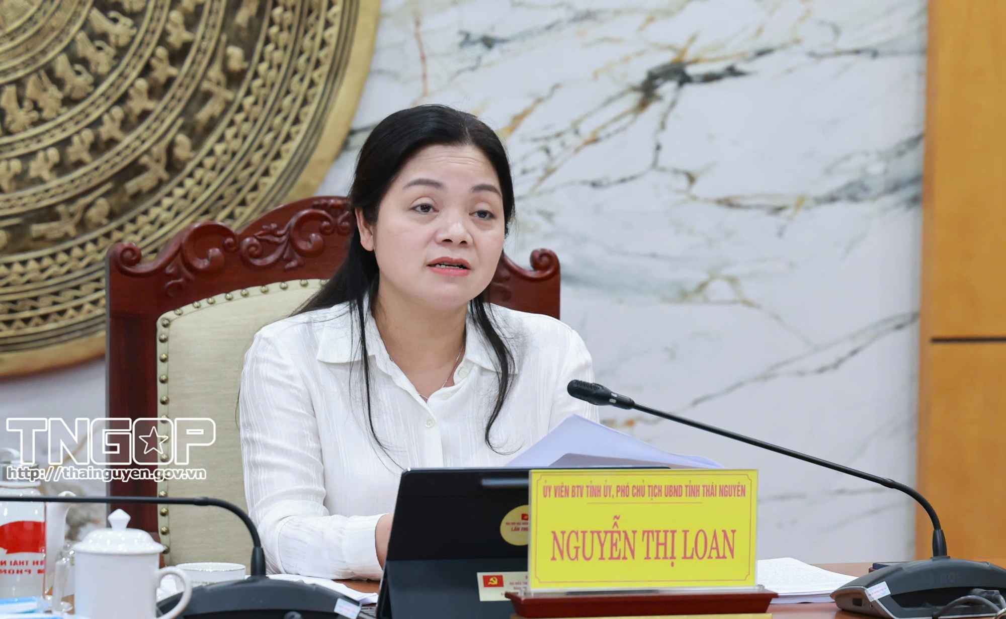 Họp nghe báo cáo triển khai dự án xử lý rác thải phát điện tại xã Tân Cương