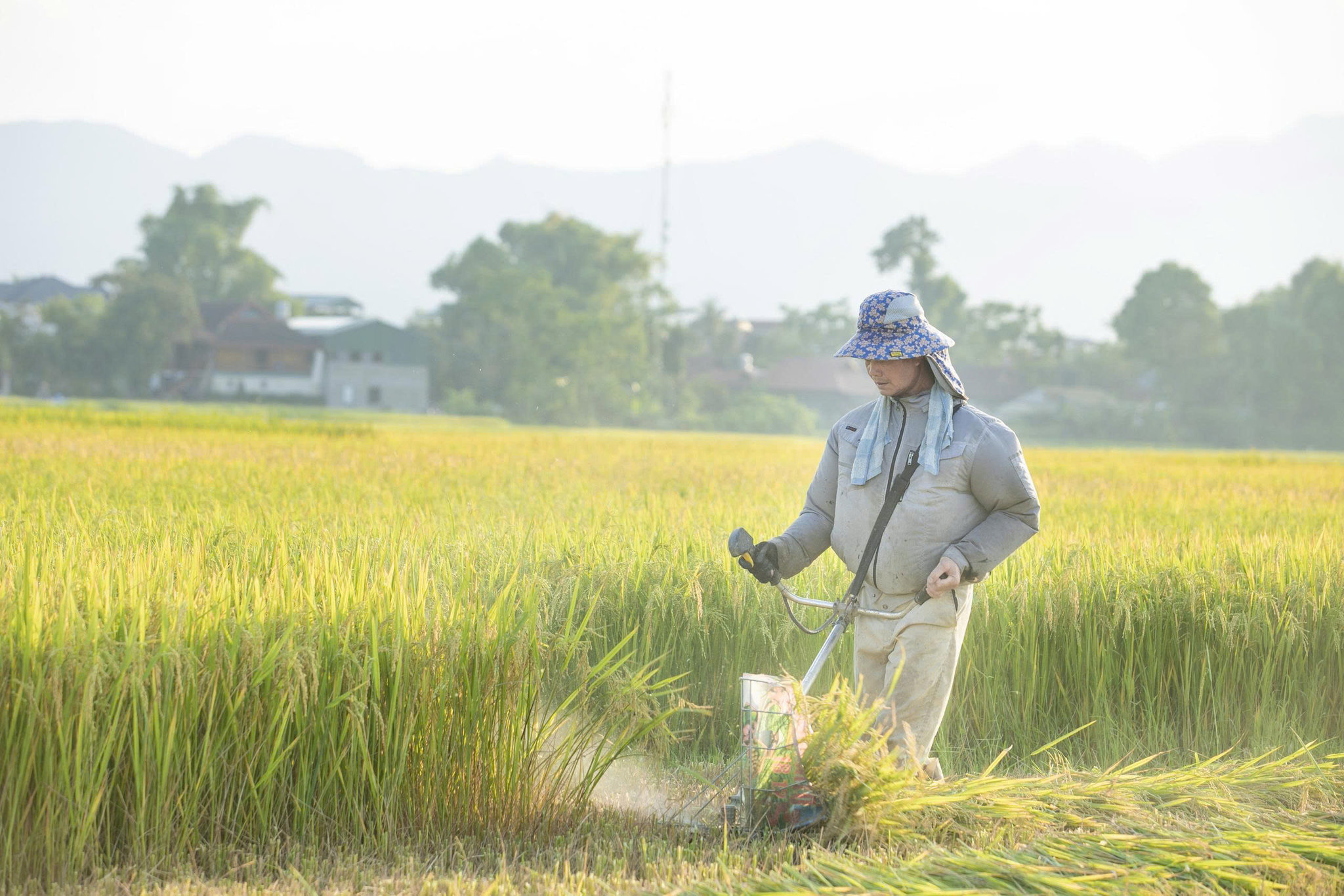 Ưu tiên nguồn lực khuyến nông cho vùng dân tộc thiểu số và miền núi