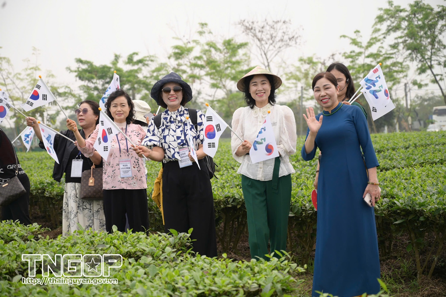 Nữ doanh nhân Hàn Quốc trải nghiệm vùng chè La Bằng, mở ra cơ hội hợp tác kinh tế xanh