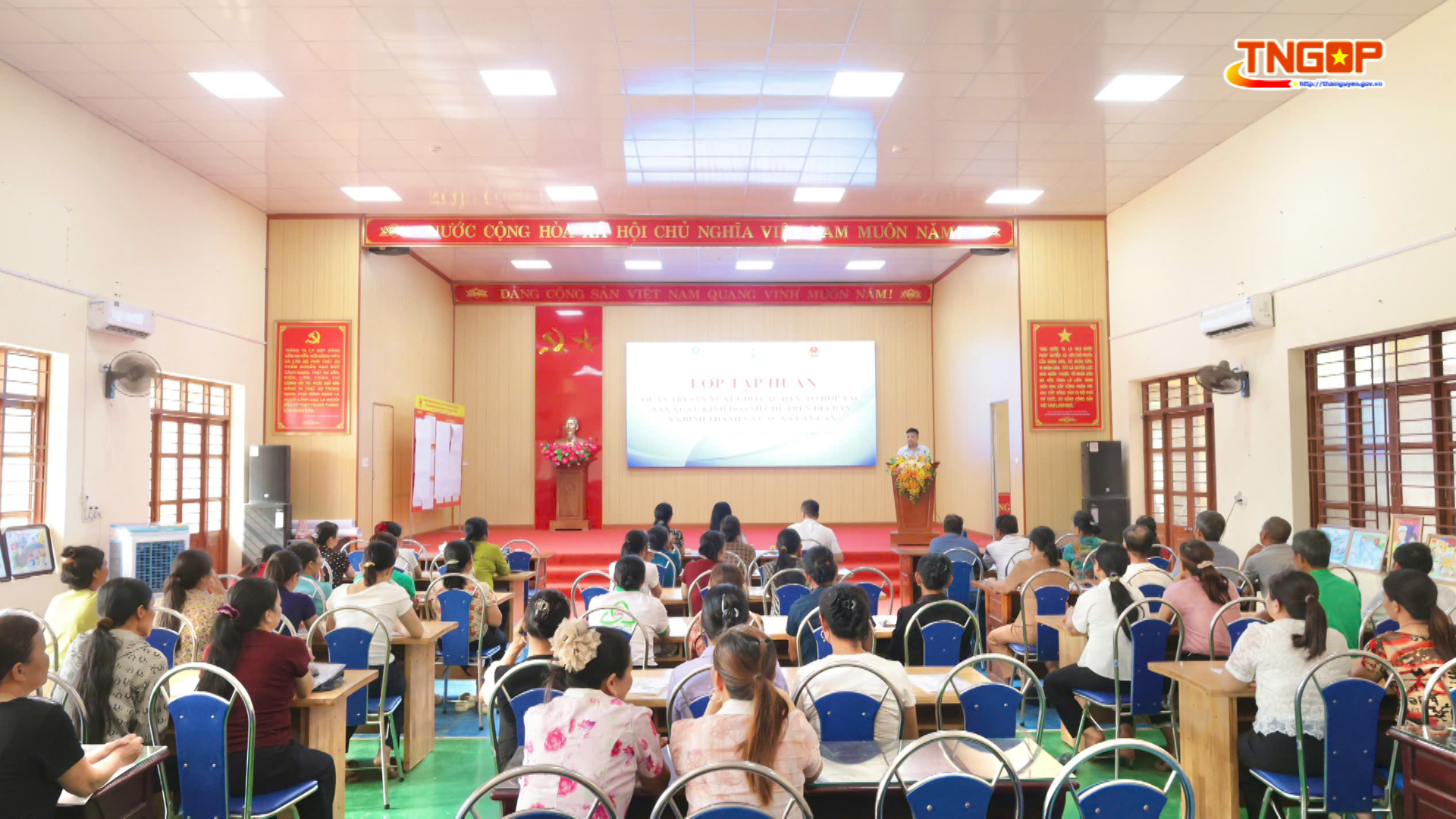 Tập huấn quản trị sản xuất cho các hợp tác xã, tổ hợp tác sản xuất, kinh doanh chè