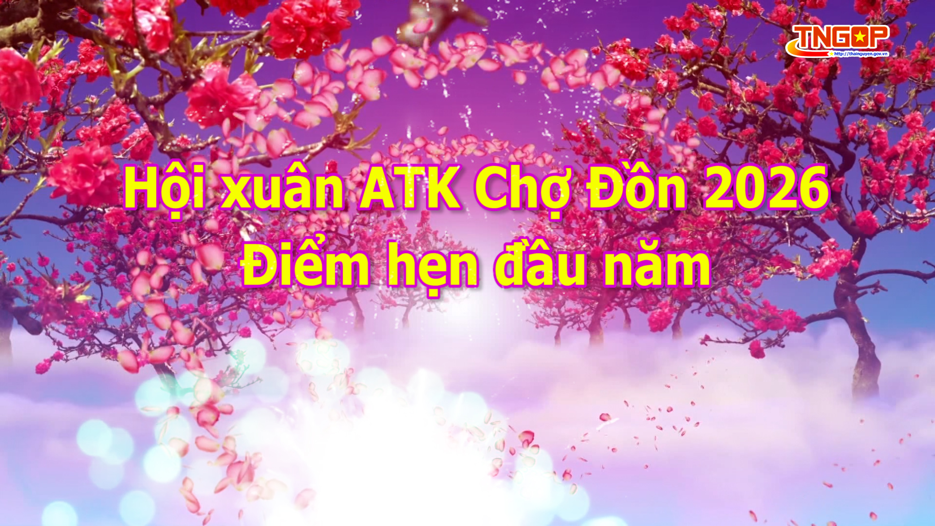 Hội xuân ATK Chợ Đồn 2026 - Điểm hẹn đầu năm