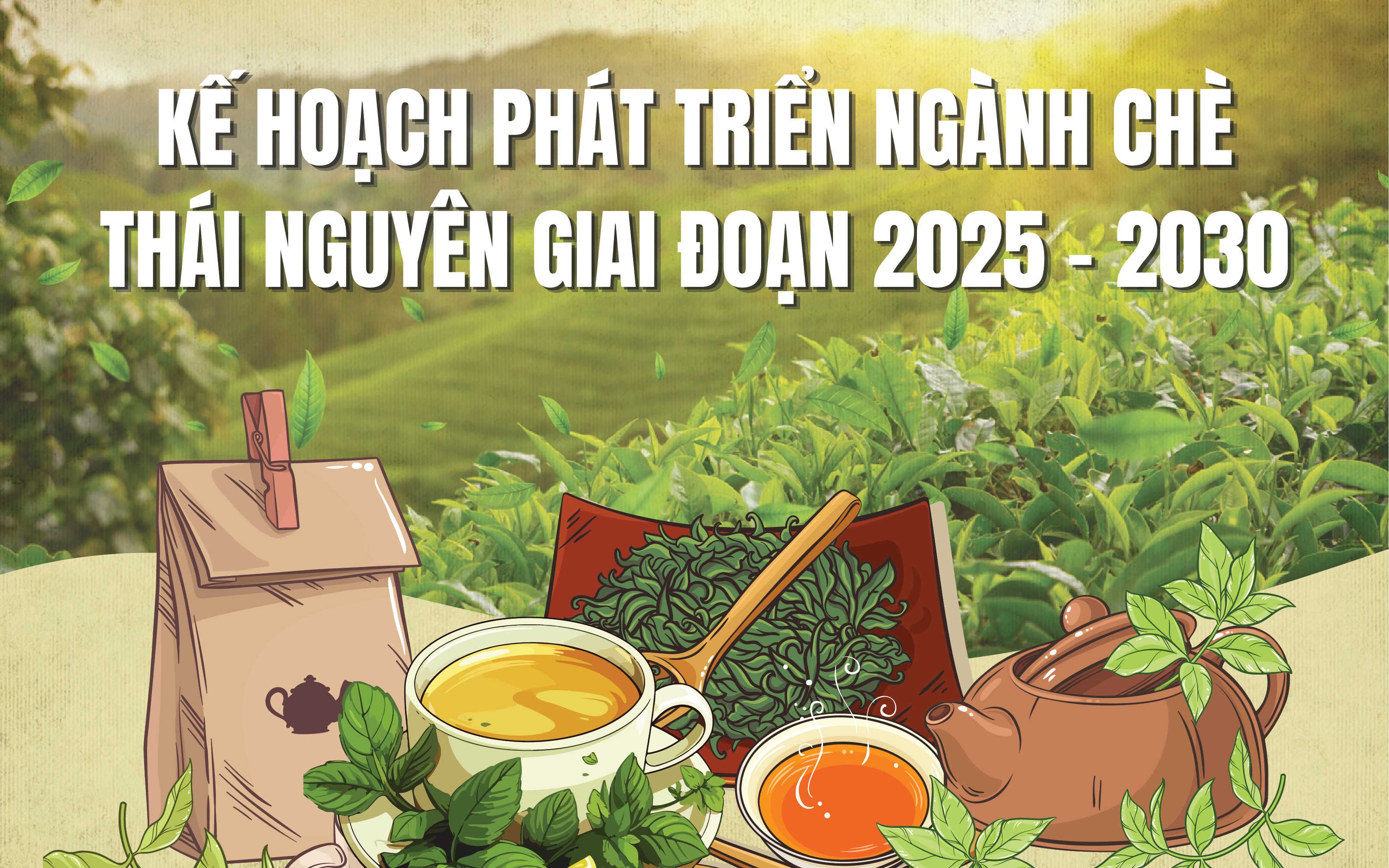 Kế hoạch phát triển ngành chè Thái Nguyên giai đoạn 2025 - 2030