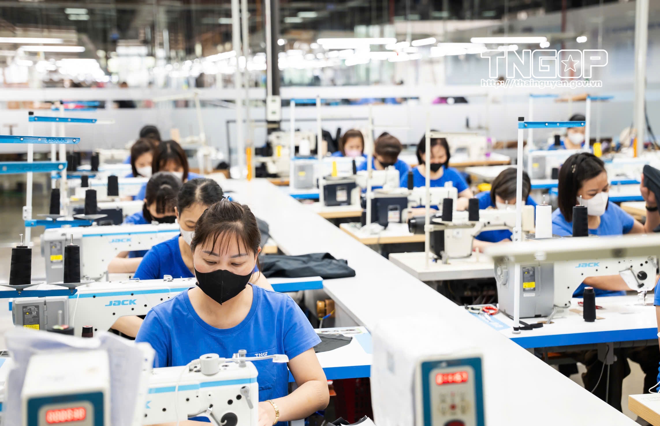 TNG: Doanh thu quý I/2026 tăng trưởng ấn tượng, gần 30%