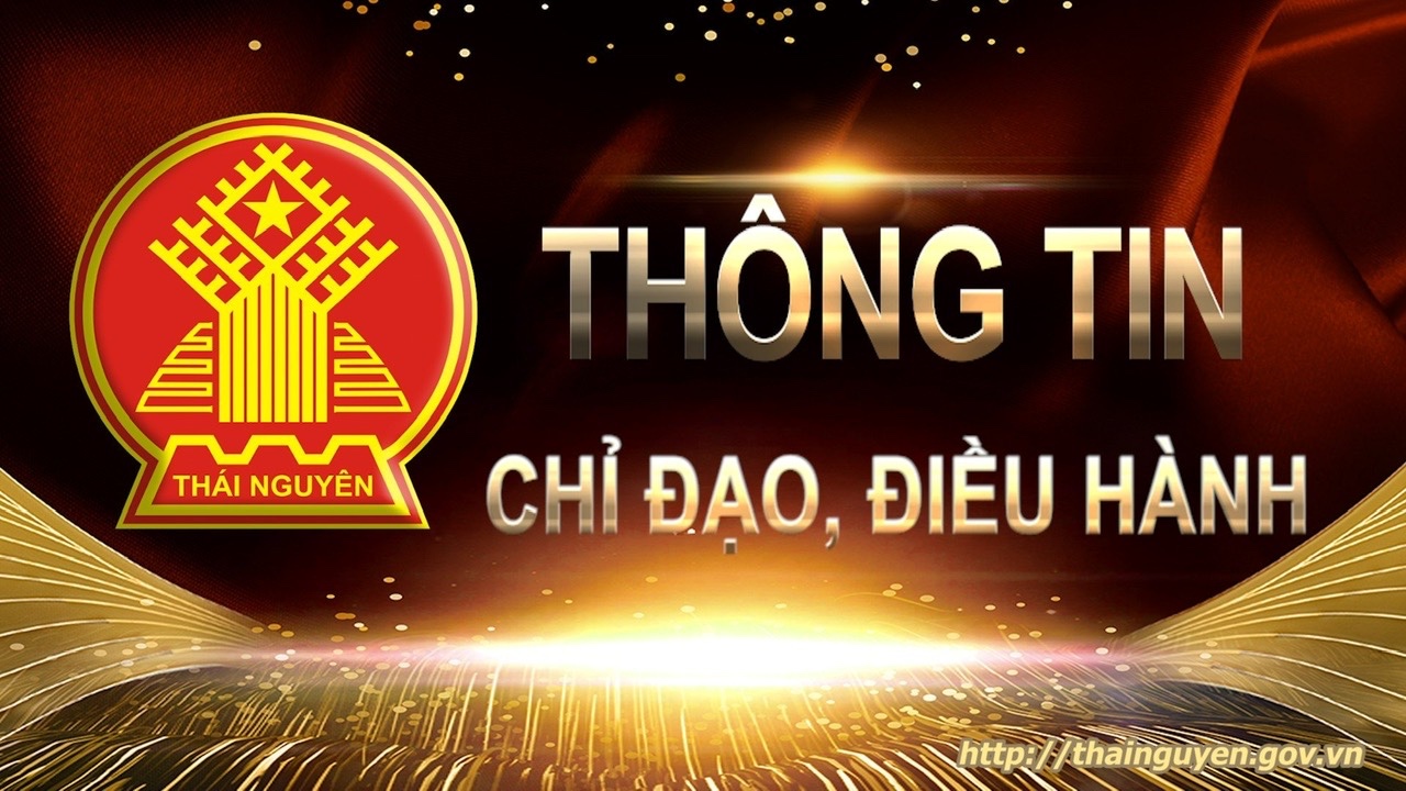 Thông báo số 352: Về việc phân công trực các ngày thứ Bảy, Chủ Nhật trong tháng 8/2026 của Chủ tịch và các Phó Chủ tịch UBND tỉnh 