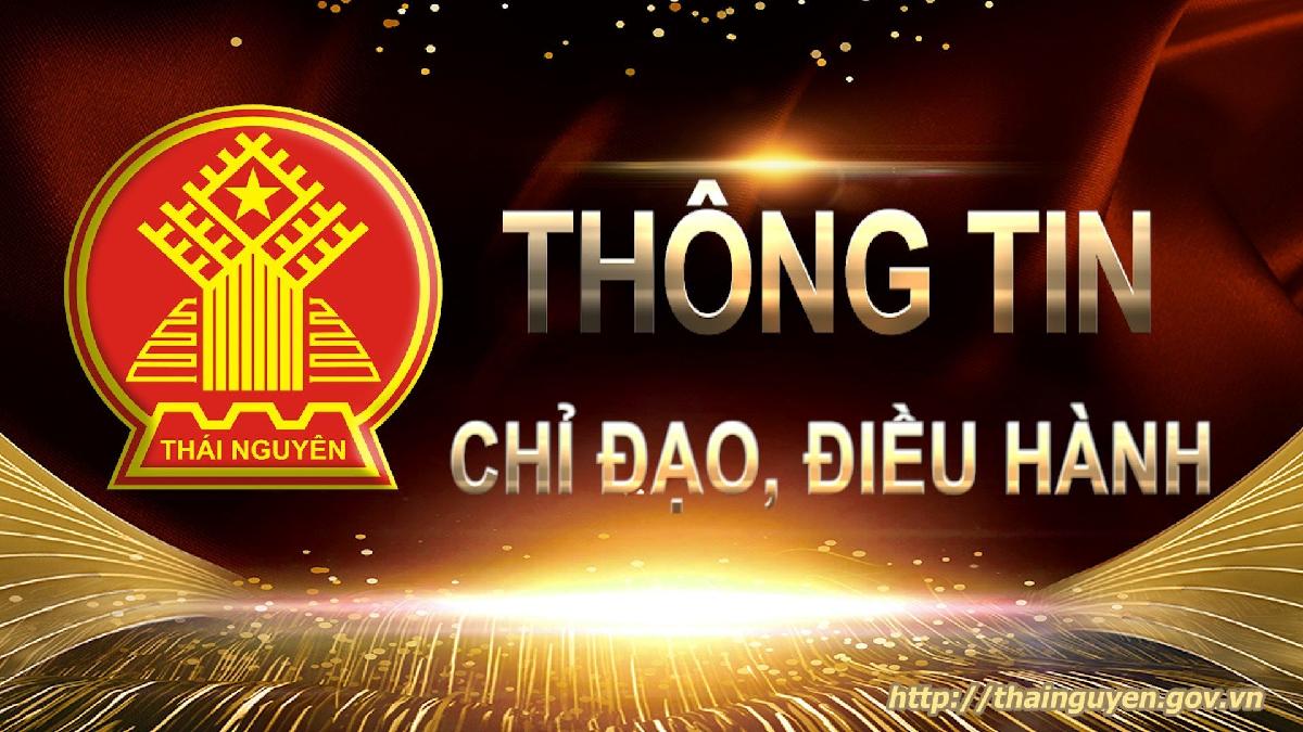 Công văn 3295: Về việc triển khai thực hiện phát triển đối tượng tham gia bảo hiểm xã hội trên địa bàn tỉnh Thái Nguyên