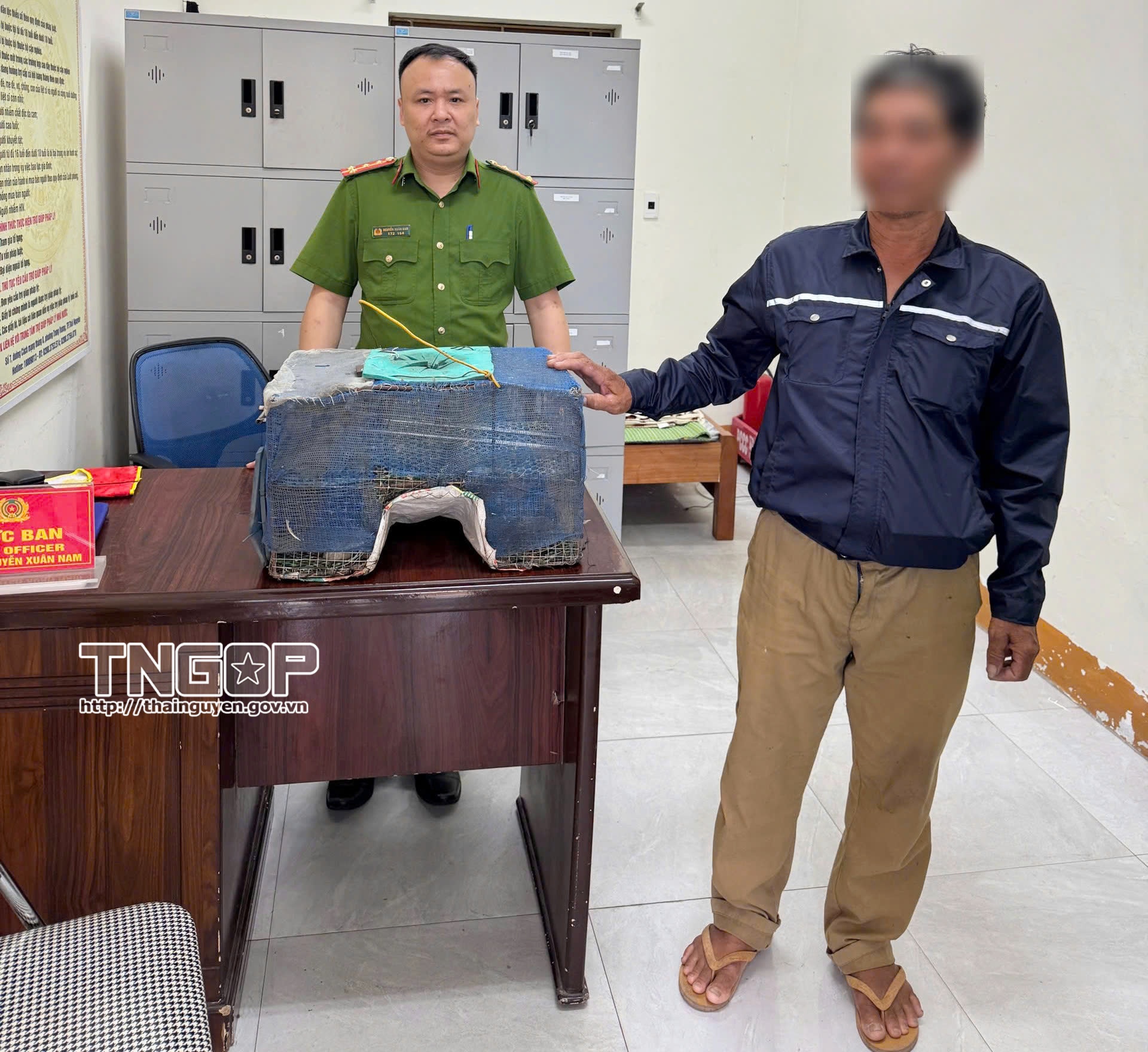 Xử phạt người săn bắt chim hoang dã để bán kiếm lời
