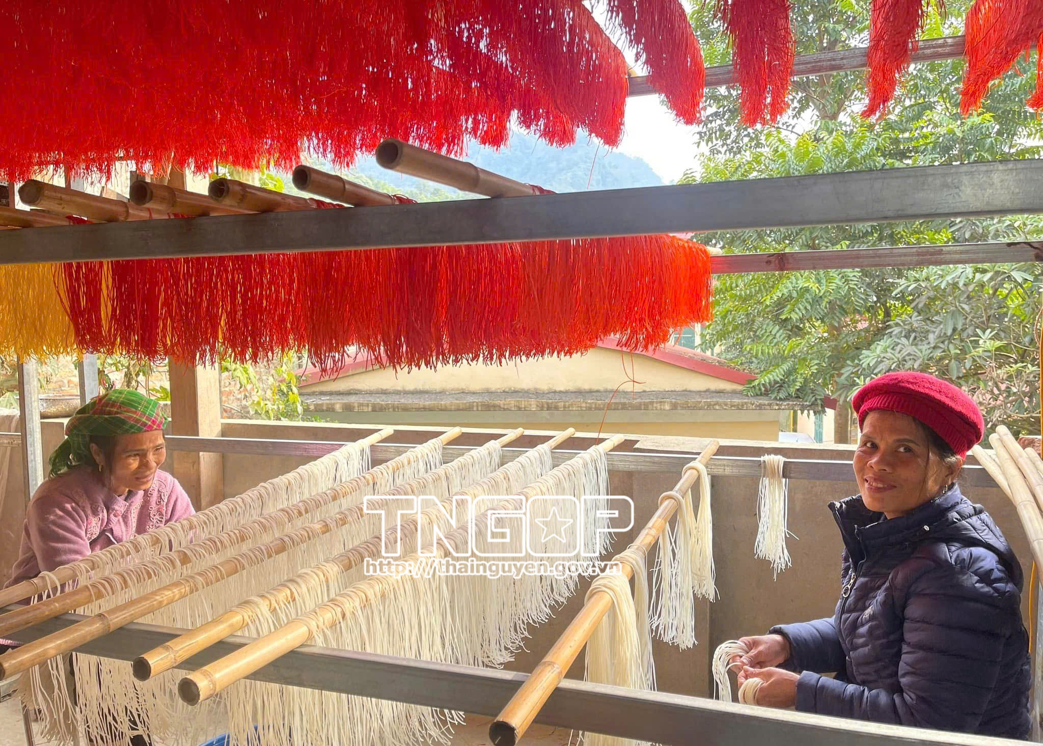 Cô gái Tày khởi nghiệp thành công với bún ngũ sắc