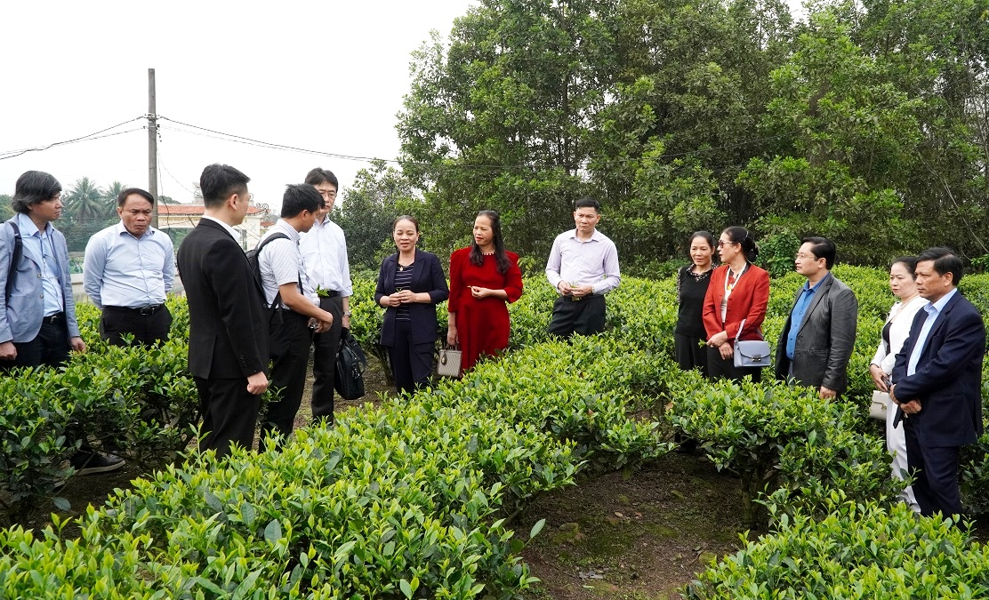 Triển khai thi hành Luật sửa đổi, bổ sung một số điều của Luật Chuyển giao công nghệ