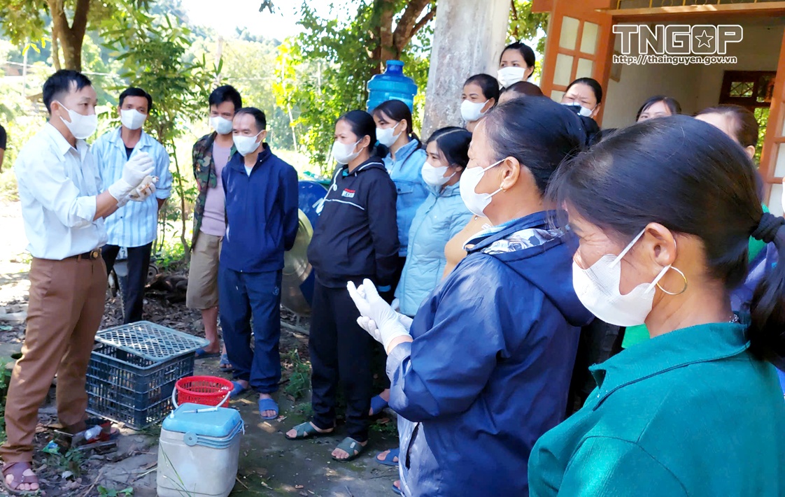 Đào tạo nghề - chìa khóa nâng cao sinh kế, giảm nghèo bền vững