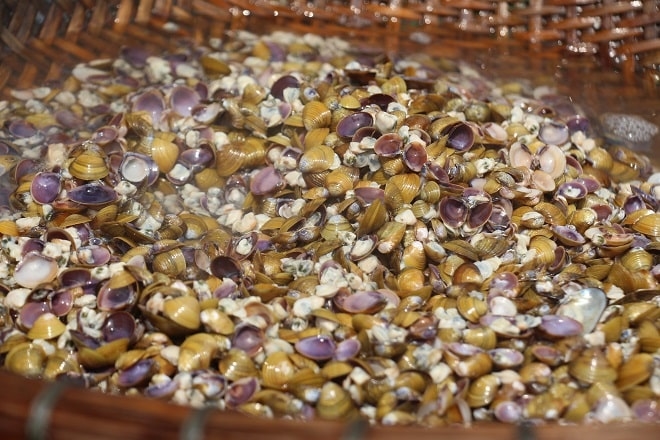 Ruột hến Sông Lam - Vị ngọt phù sa trong mâm cơm xứ Nghệ