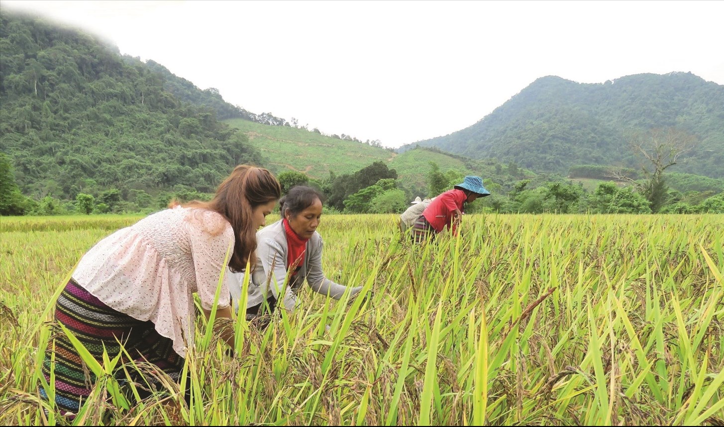 Từ hỗ trợ sang trao quyền - Lối đi căn cơ cho giảm nghèo bền vững