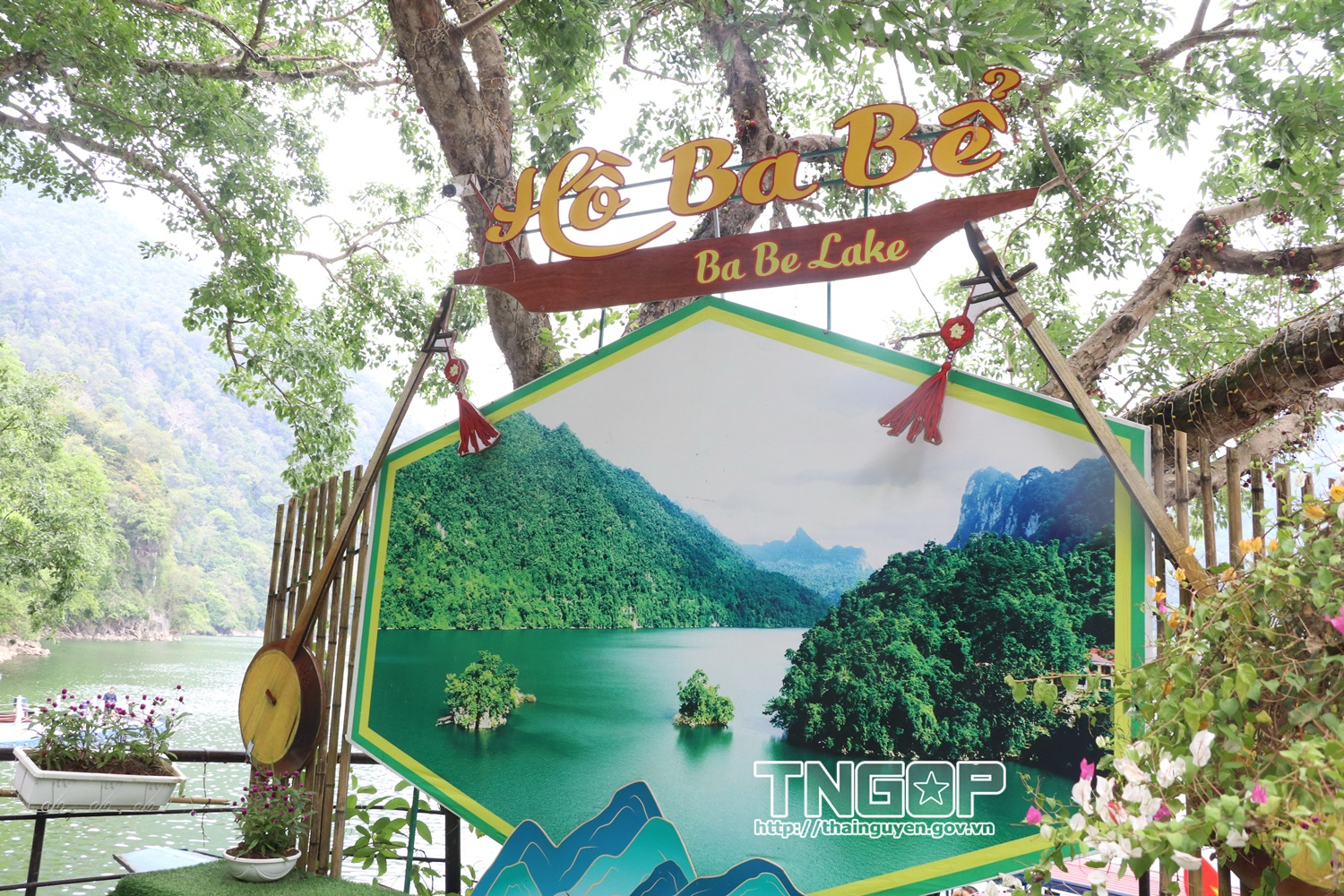 Anh-tin-bai