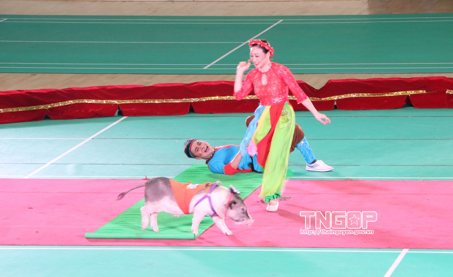 Anh-tin-bai