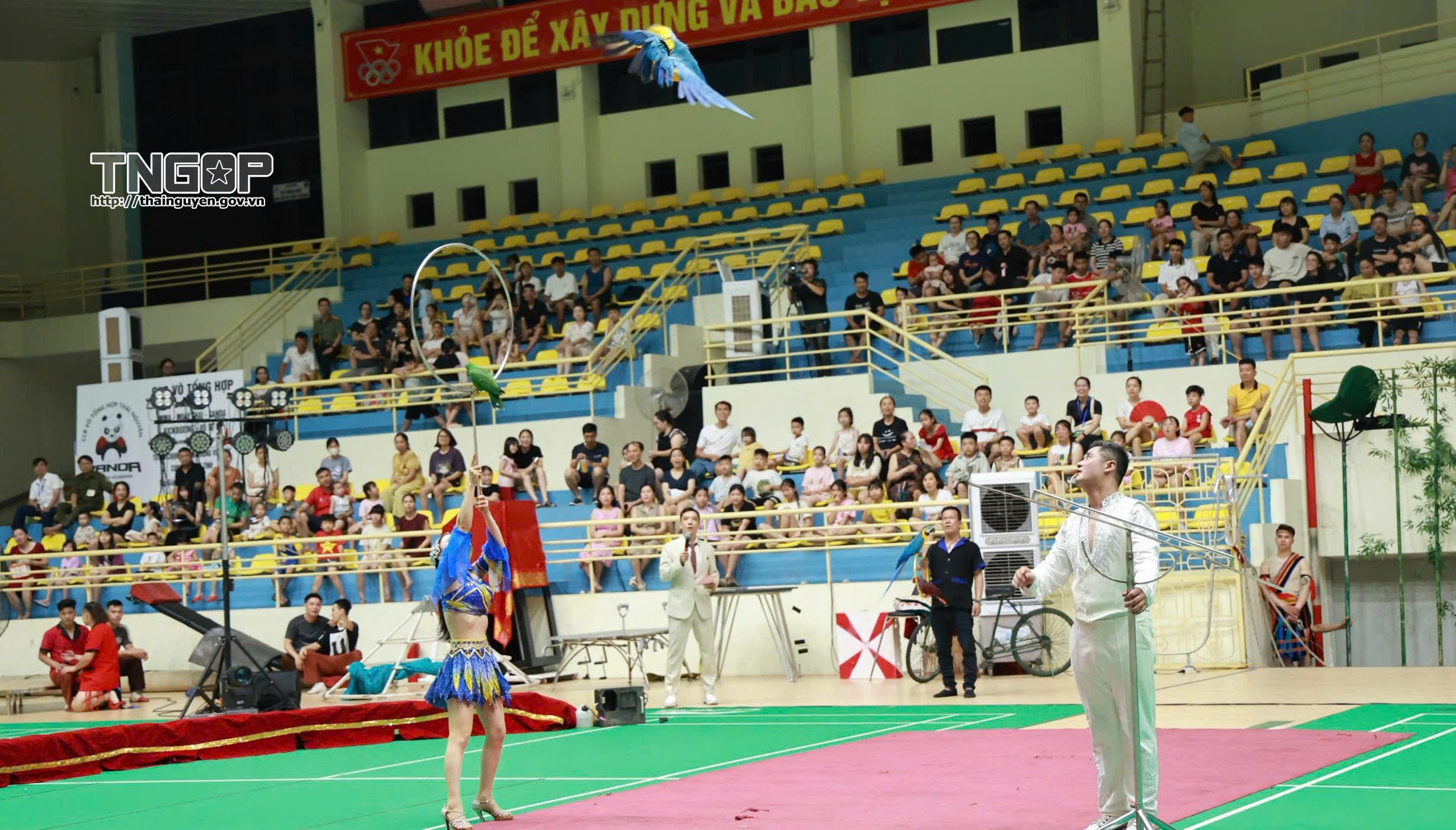 Anh-tin-bai