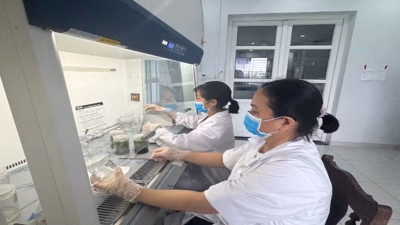 Kỳ vọng vào bước chuyển của nghiên cứu cơ bản