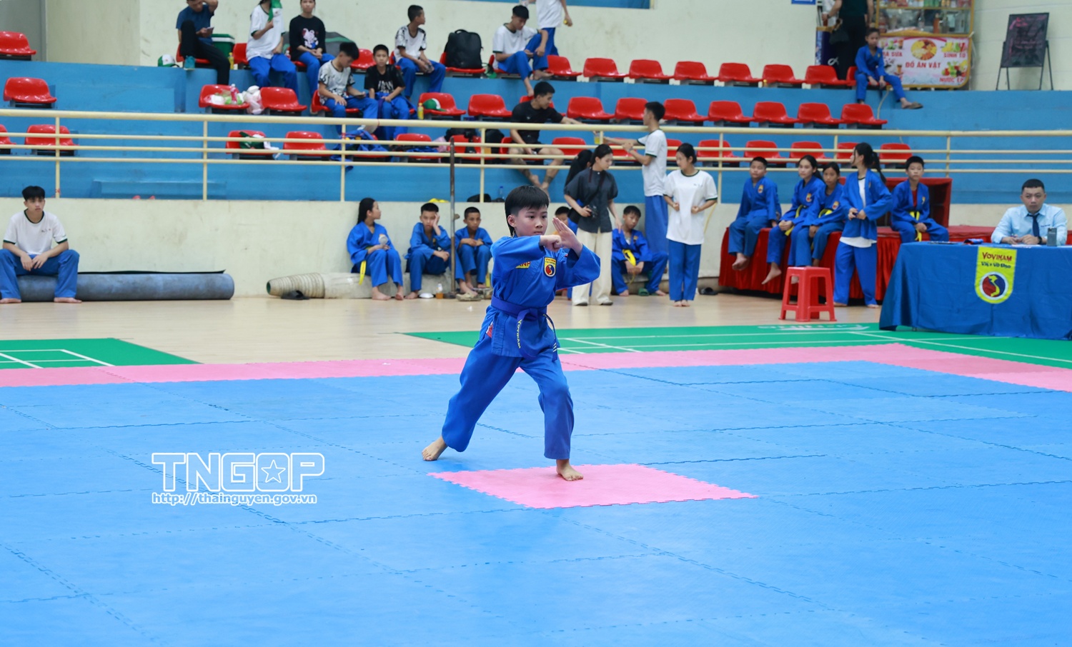 Anh-tin-bai