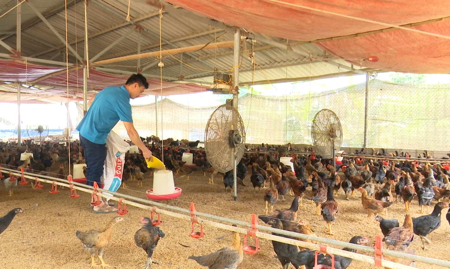 Quy định khu vực không được phép chăn nuôi và chính sách hỗ trợ khi di dời