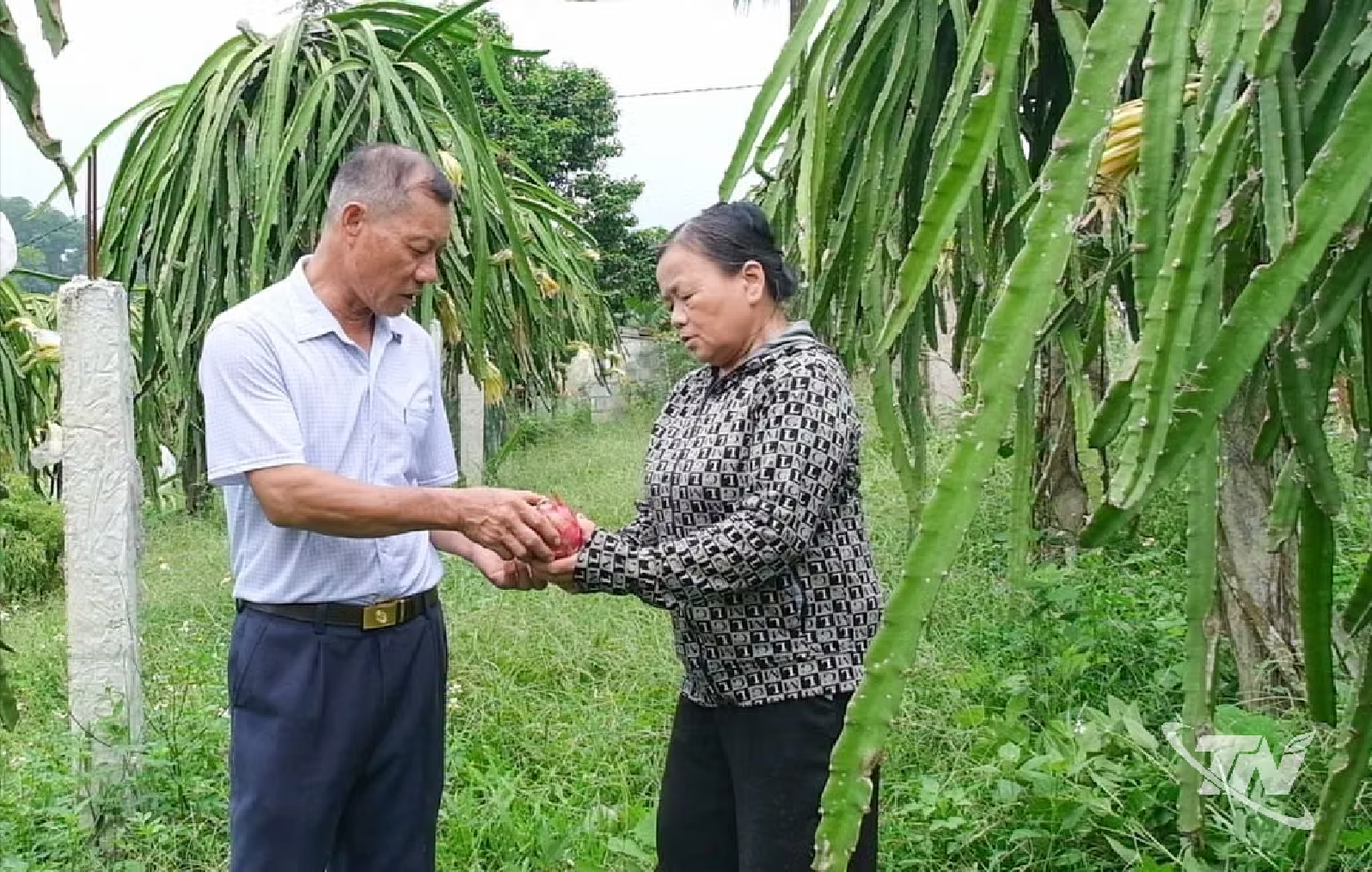Anh-tin-bai