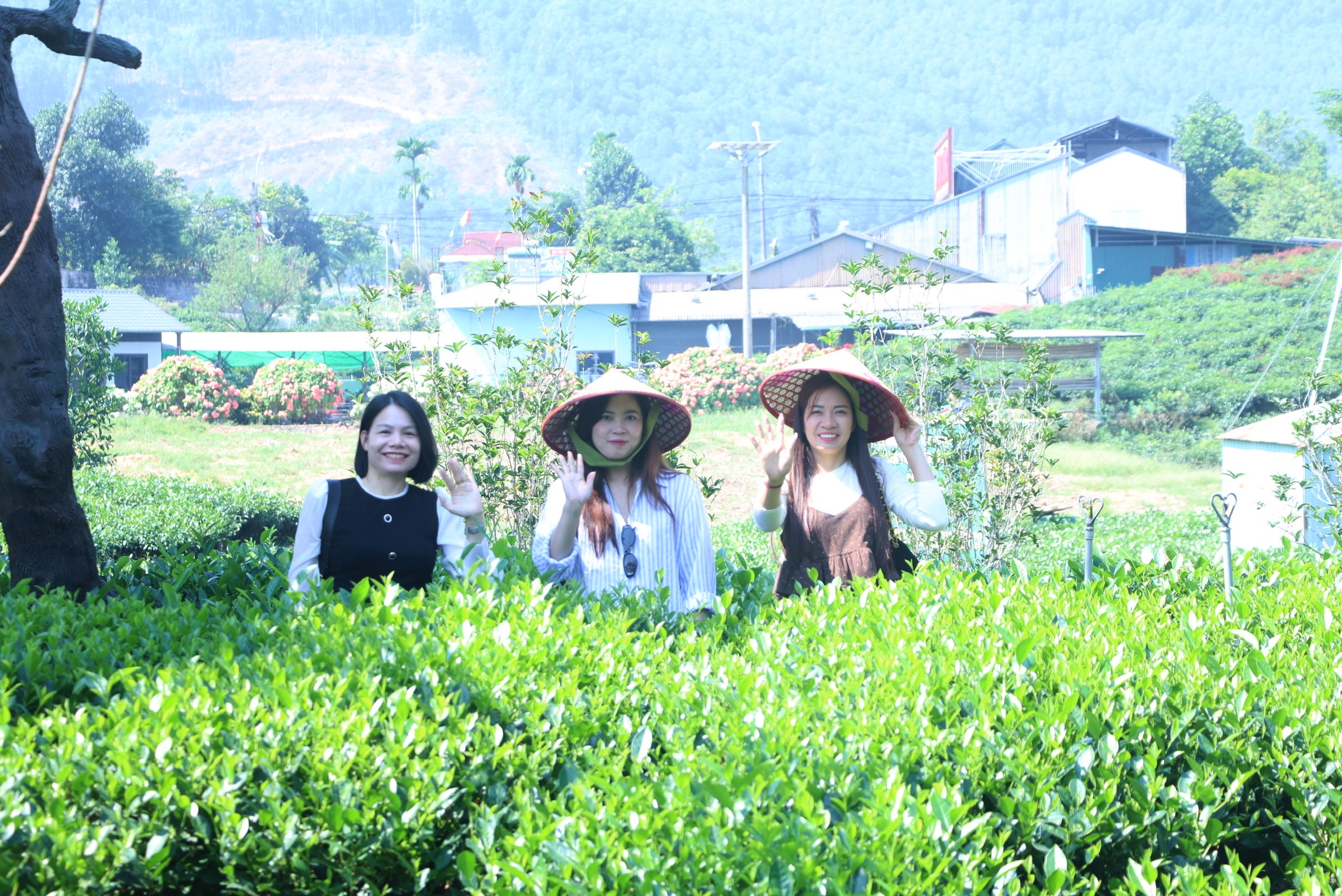 Anh-tin-bai
