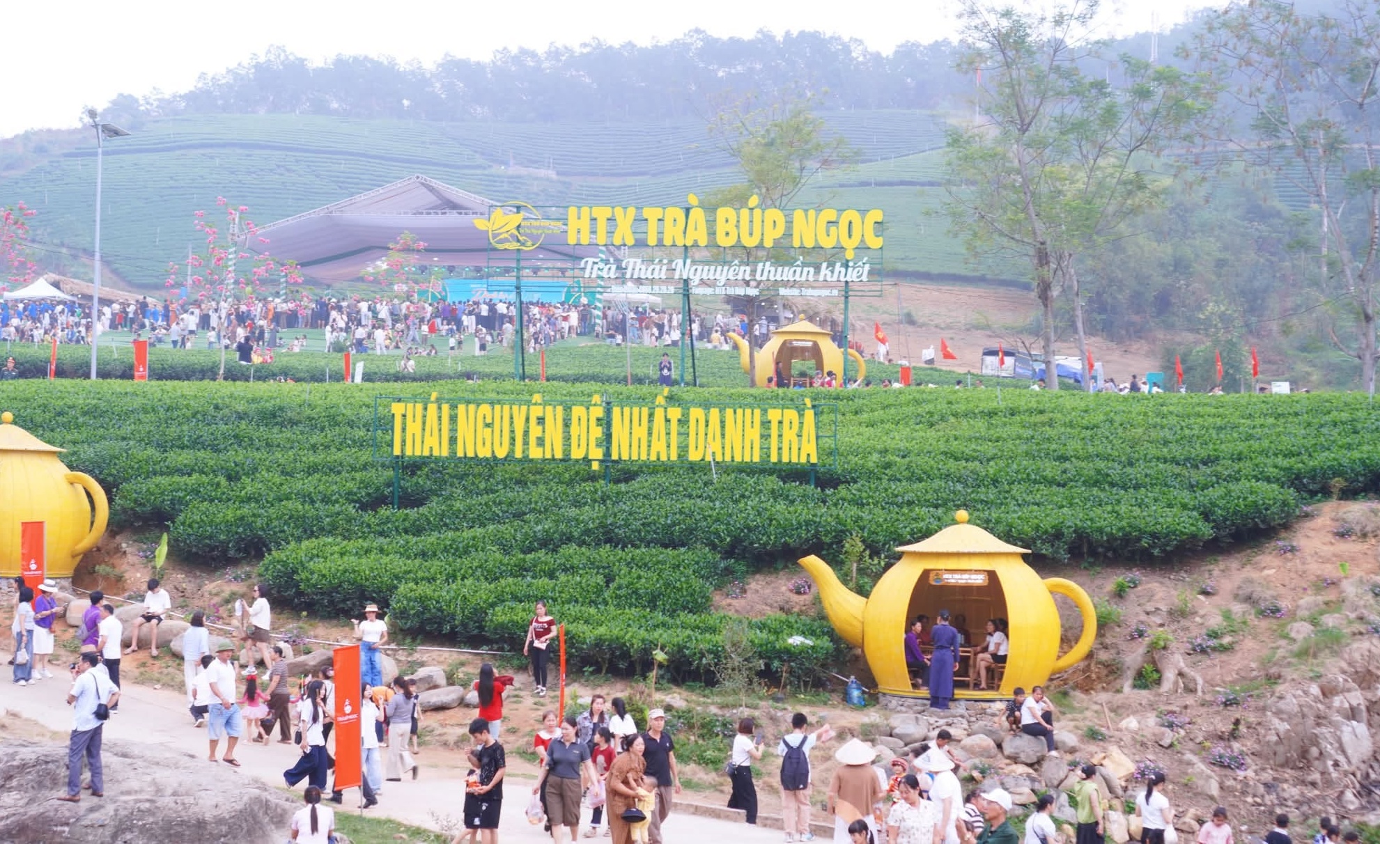 Sôi động Chương trình "Danh trà đất Việt - Rạng rỡ La Bằng"