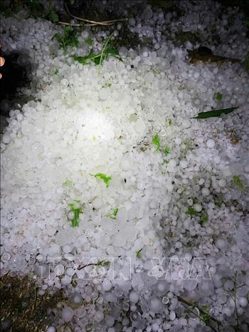 Cảnh báo dông lốc gia tăng trong thời kỳ chuyển mùa, thời tiết 2026 tiềm ẩn nhiều cực đoan