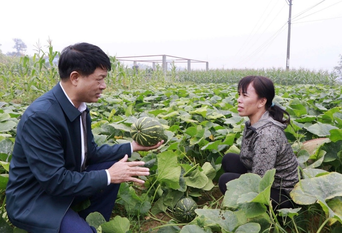 Sản xuất nông, lâm nghiệp và thủy sản duy trì đà tăng trưởng trong quý I/2026