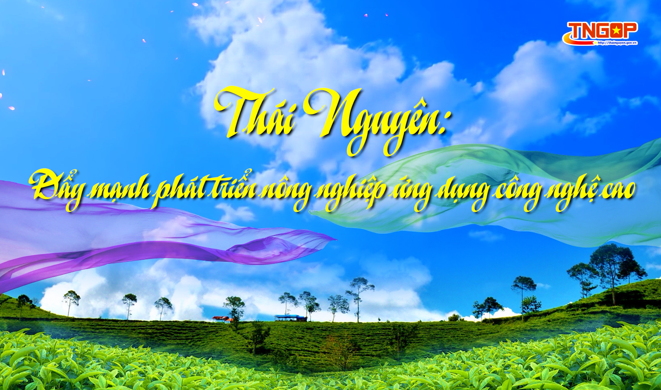 Thái Nguyên: Đẩy mạnh phát triển nông nghiệp ứng dụng công nghệ cao