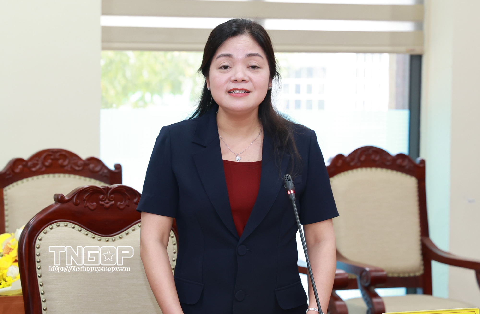 Triển khai thực hiện các Nghị quyết về bảo vệ môi trường