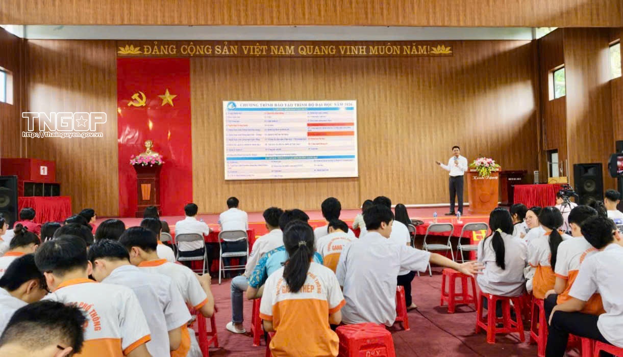 Tăng cường tư vấn hướng nghiệp, giới thiệu chương trình đào tạo mới cho học sinh THPT