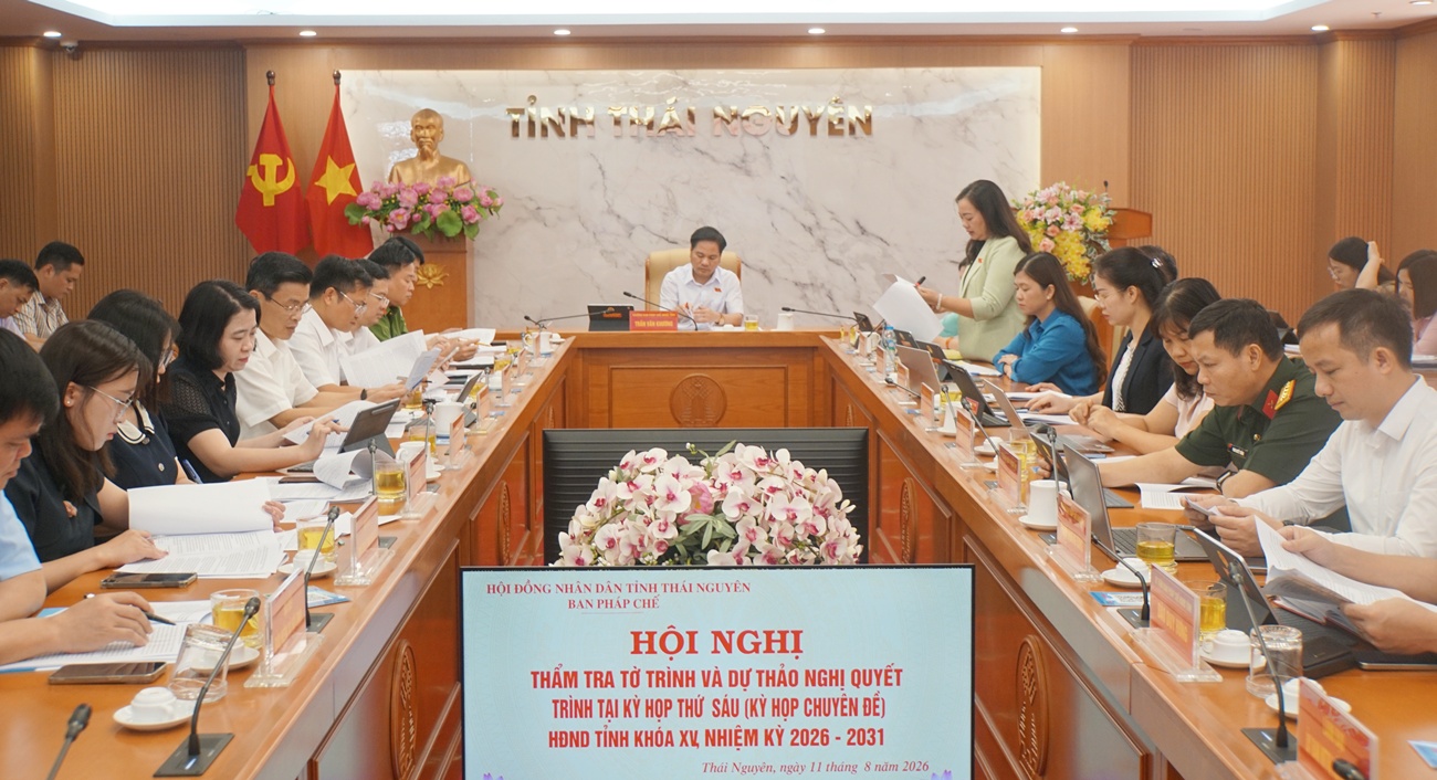 Thẩm tra các nội dung trình Kỳ họp thứ Sáu, HĐND tỉnh khóa XV