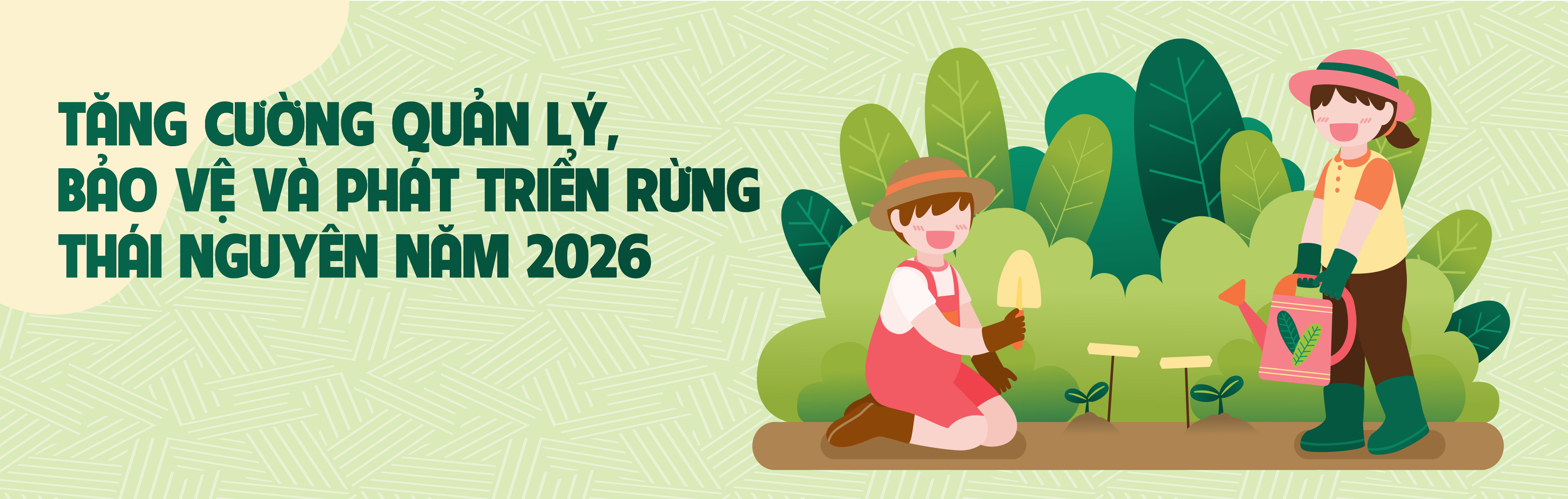 Tăng cường quản lý, bảo vệ và phát triển rừng Thái Nguyên năm 2026