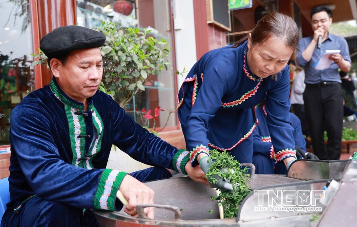 Tôn vinh nghề truyền thống, nâng cao tay nghề người làm chè