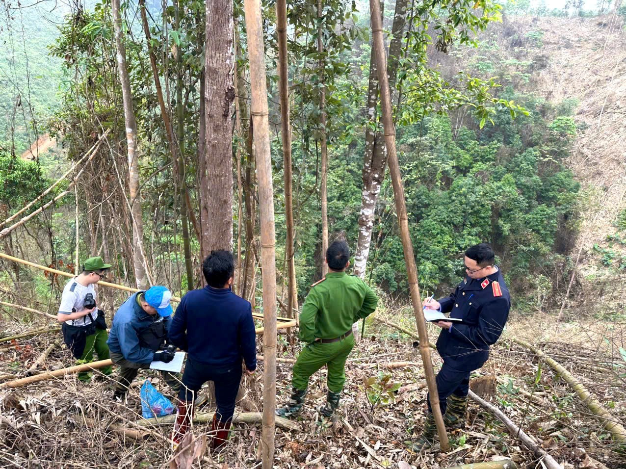 VKSND khu vực 7 tăng cường phối hợp trong công tác  khám nghiệm hiện trường vụ hủy hoại rừng