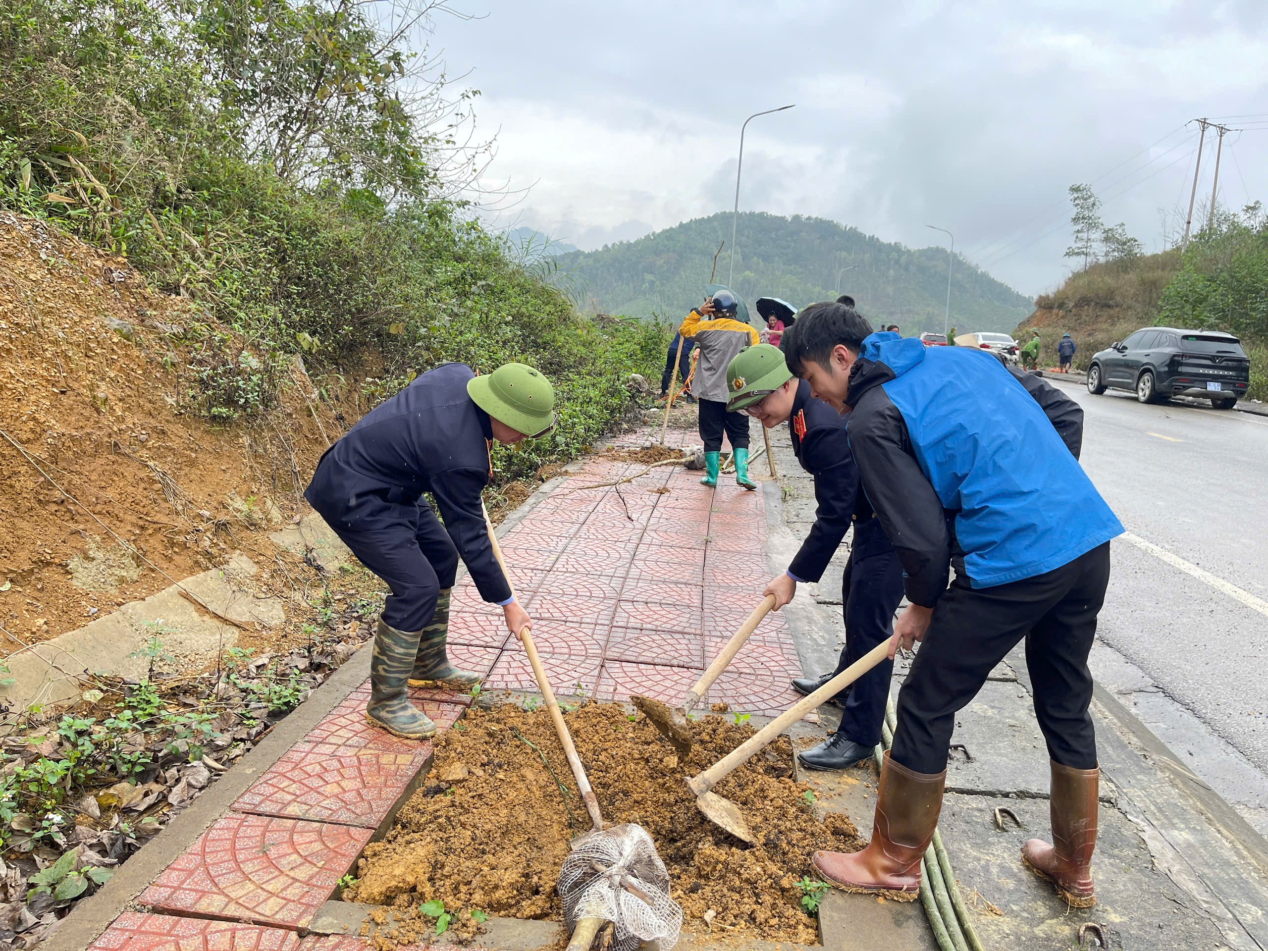 VKSND khu vực 8 – Thái Nguyên hưởng ứng Lễ phát động “Tết trồng cây đời đời nhớ ơn Bác Hồ” Xuân Bính Ngọ năm 2026