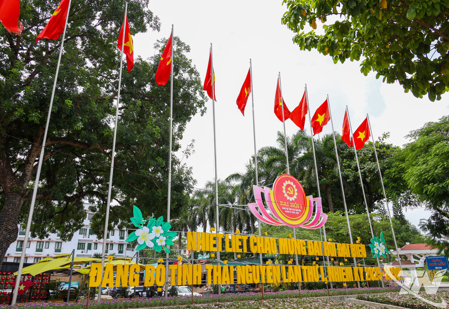 Anh-tin-bai
