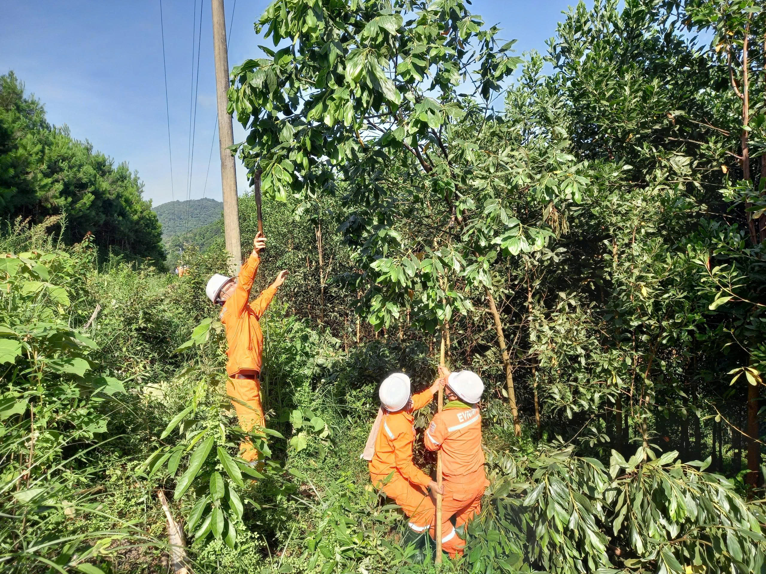 BẢO ĐẢM AN TOÀN LƯỚI ĐIỆN TRONG MÙA MƯA BÃO