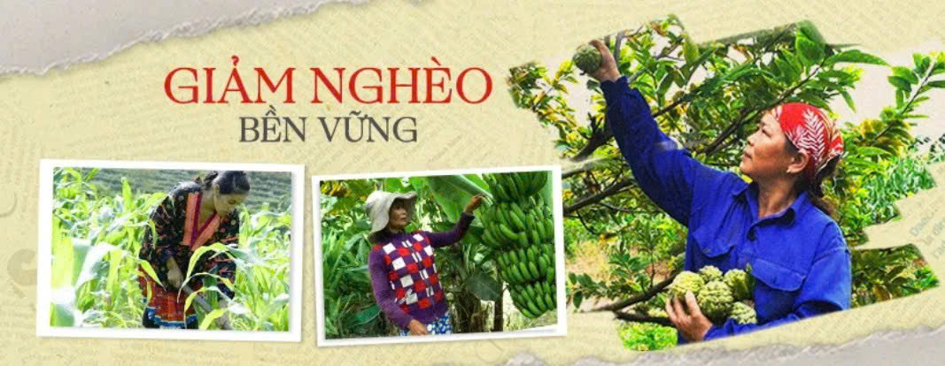 image advertisement