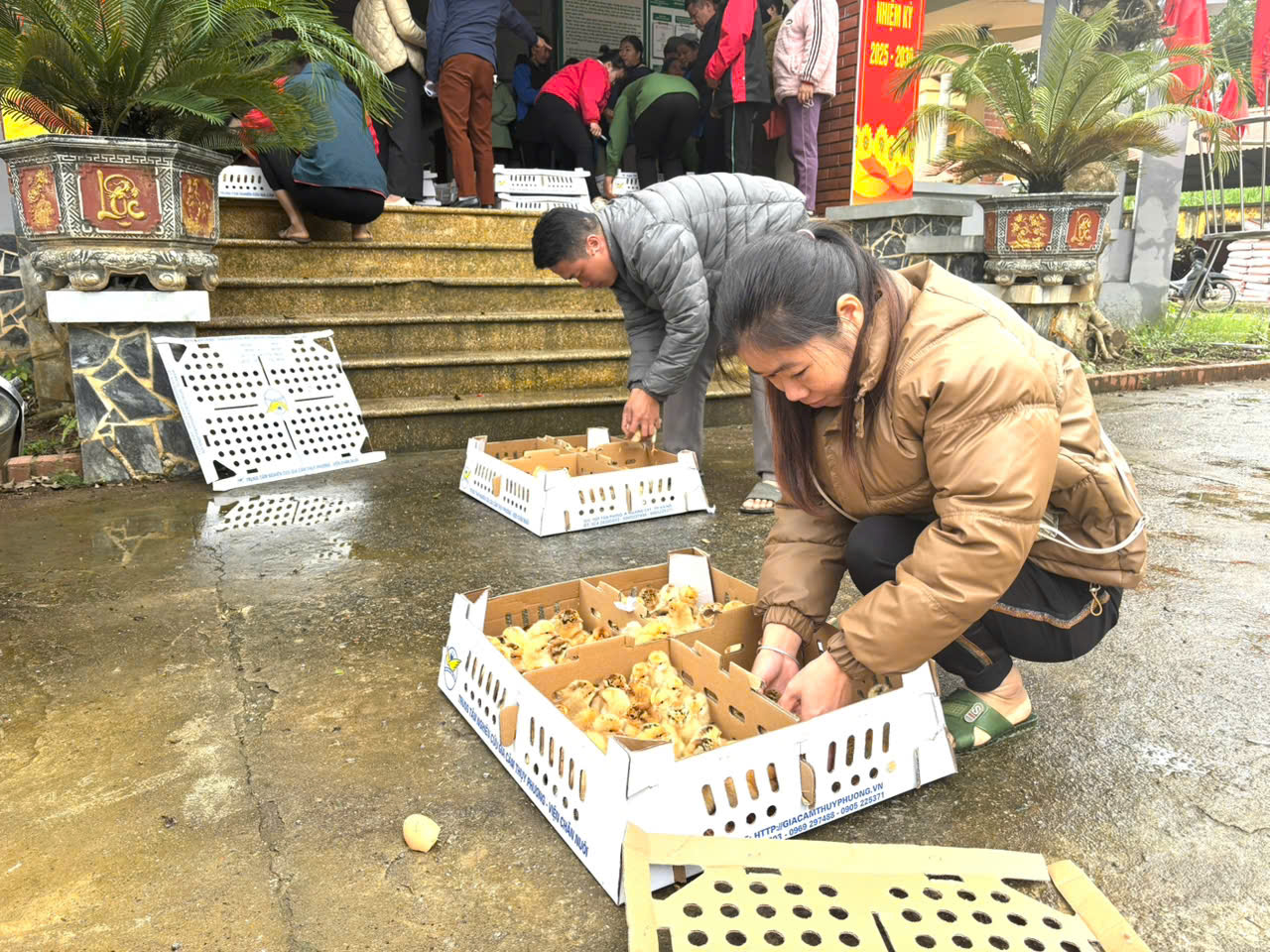 Anh-tin-bai