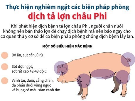 Văn bản của Ủy ban nhân dân xã Trần Phú về việc tiếp tục thực hiện các biện pháp phòng, chống bệnh Dịch tả lợn Châu Phi
