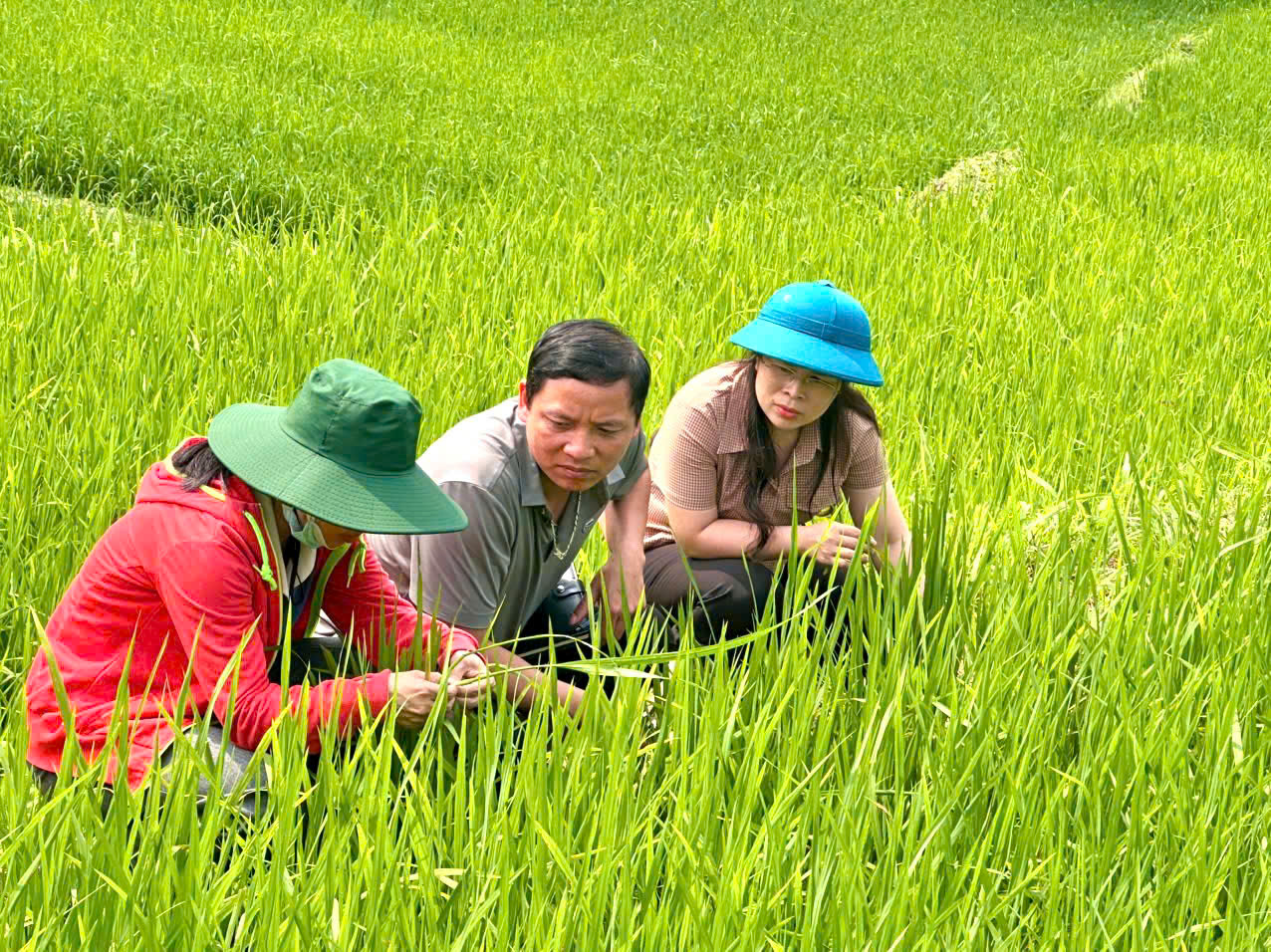 Xã Bạch Thông kiểm tra tình hình sản xuất nông nghiệp và hệ thống thuỷ lợi trên địa bàn toàn xã