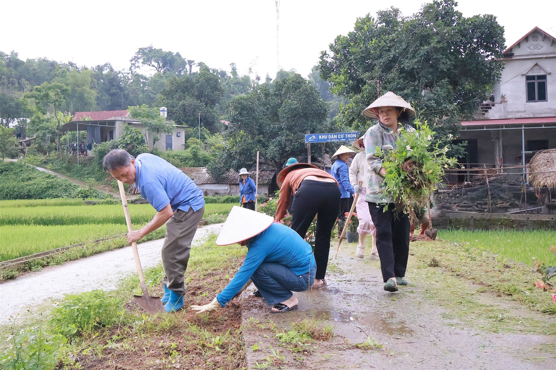 BẠCH THÔNG PHÁT ĐỘNG THỰC HIỆN XÂY DỰNG NÔNG THÔN MỚI GẮN VỚI RA QUÂN “NGÀY THỨ BẢY XANH”