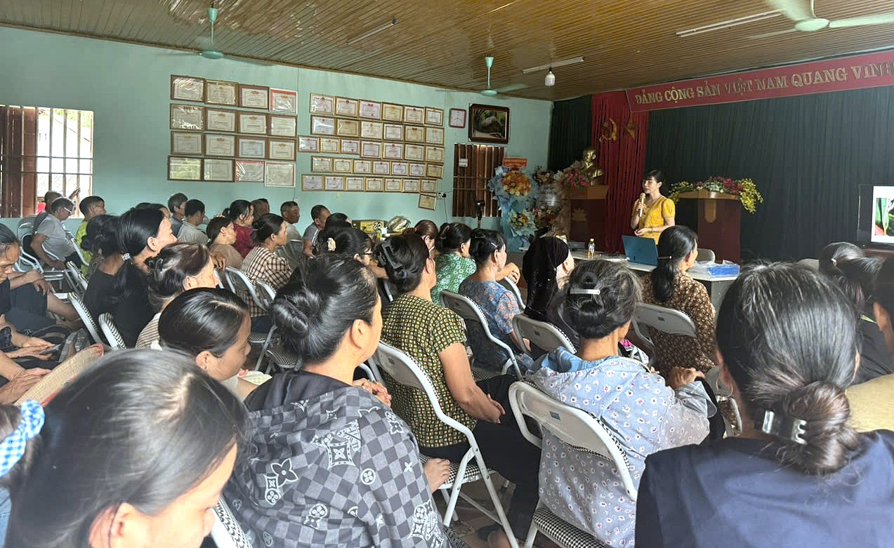 Anh-tin-bai