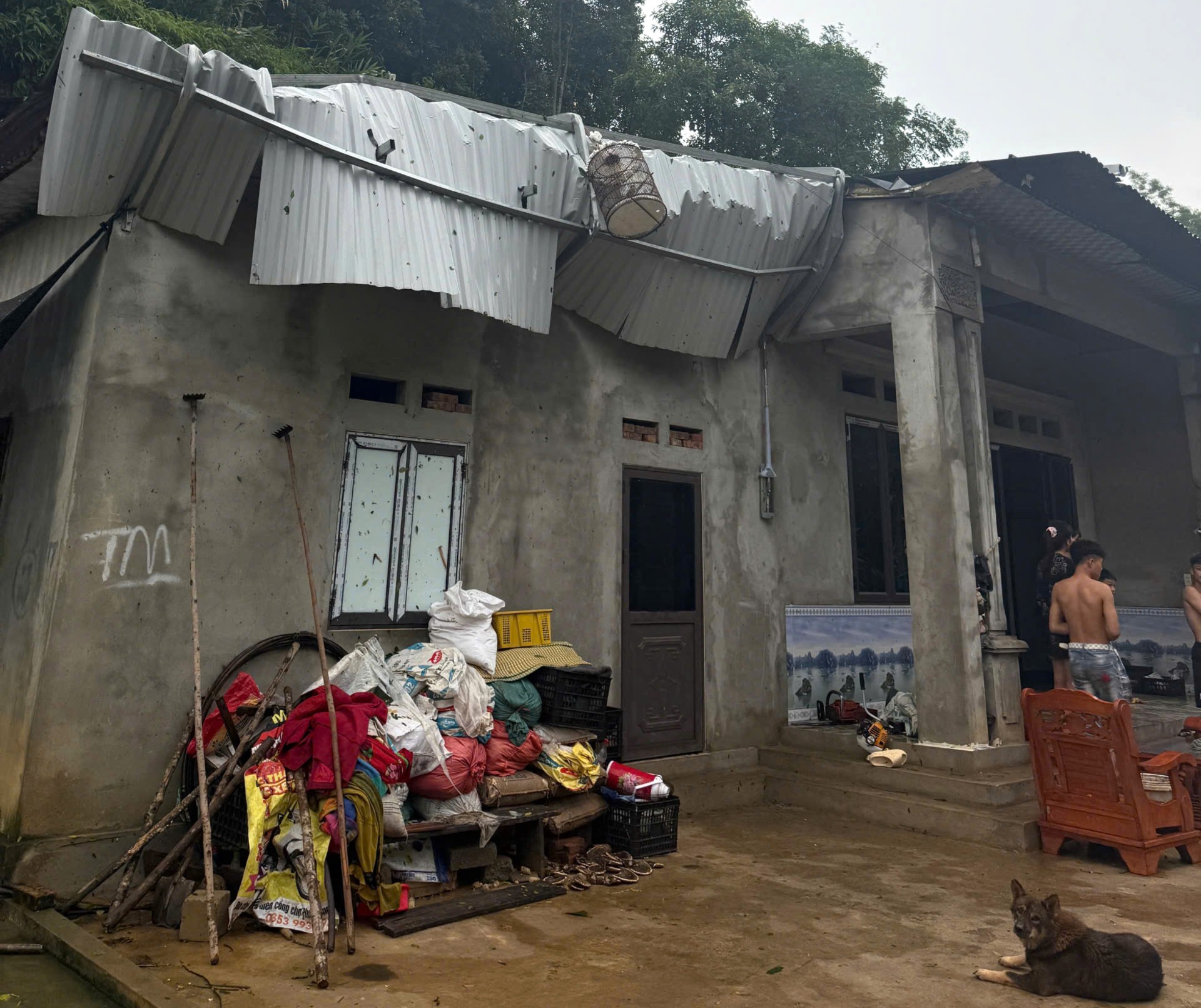 Anh-tin-bai