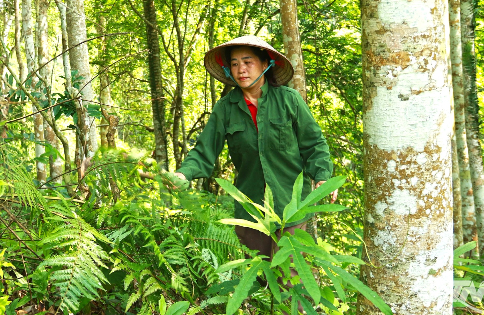 Anh-tin-bai