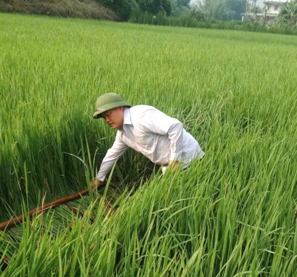 Anh-tin-bai